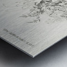 Ring-neckrd pheasant Phasianus colchicus Metal print