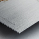 Vintage giraffe poster Metal print