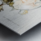 Green Sea Turtle Chelonia mydus and Spiny softshell turtle Gymnopus spiniferus Metal print