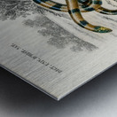 Coral Snake Elaps Corallinus and Egyptian Cobra Naja Hoje Metal print