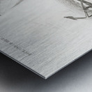 Delphinus delphis Metal print