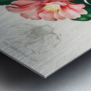 Eastern dobsonfly Corydalus cornutus Metal print