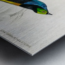 Different types of birds Metal print