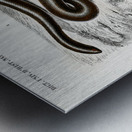 Eryx and the Red-tailed boa Metal print