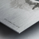 Balaenoptera rorqual Metal print