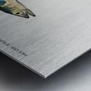 Different types of beetles Metal print