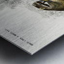 Raccoon Procyon lotor Metal print