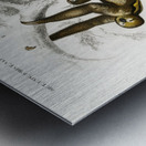 Three-toed Sloth Bradypus ustus and Aye-aye Cheiromys madagascariensis Metal print