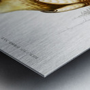 Eastern imperial eagle Aquila heliaca Metal print