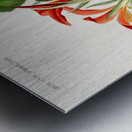 Anna speciosa Metal print