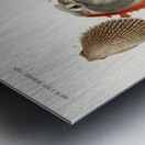 Different types of mollusks Metal print