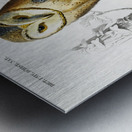 Different types of birds Metal print