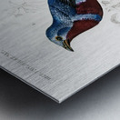 Different types of birds Metal print