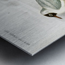 Different types of birds Metal print