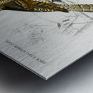 Different types of birds Metal print