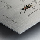 Different types of insects Metal print
