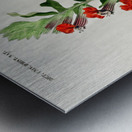 Different types of birds Metal print