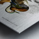 Different types of birds Metal print