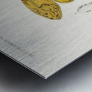 Different types of birds Metal print