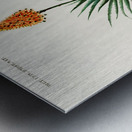 Candelabra aloe aloe fruticosa Metal print