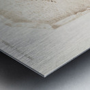 Kingfisher Alcedo Metal print