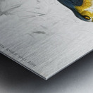 Eurasian sparrowhawk Accipiter nisus Metal print