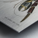 Coconut Crab Birgus latroi Metal print