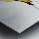 Curl-crested Manucode  Metal print