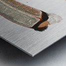 Toco foot beak and tongue  Impression metal