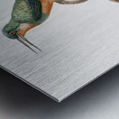 Rufous-tailed Jacamar Metal print