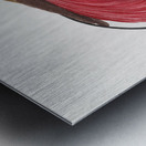 Red bird of paradise  Metal print