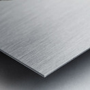 Black Jay with White Colla Metal print