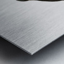 Black-billed Tamatia  Metal print