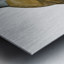 White-cheeked Jay  Metal print