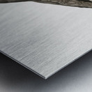 Varied roller of Africa  Metal print