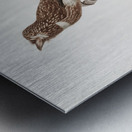 White-chested puffbird  Metal print