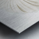 Twelve wired bird of paradise  Metal print