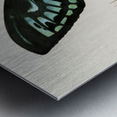 Green birdwing Ornithoptera priamus Metal print
