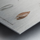 Different types of mollusks Metal print