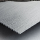 Western parotia in the idle state  Metal print