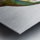 Great barbet  Metal print