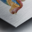 Young violet roller  Metal print