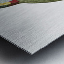 Black-necked Aracari female  Metal print