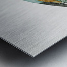 Abyssinian roller female Metal print