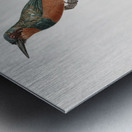 Green-tailed Jacamarfemale Metal print