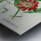 Green-tailed Jacamarfemale Metal print