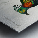 Himalayan monal Lophophorus refulgens Metal print