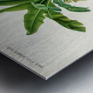 Eurasian Jay  Metal print