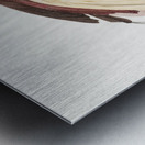 Emperor bird-of-paradise male  Metal print