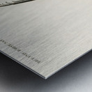 Great argus Phasianus argus Impression metal